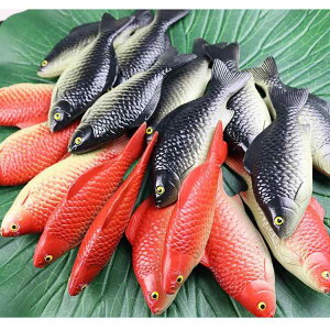 tFCNtBbV ͑ vX`bN ^ ①ɃfR[V  ߋ wZ  c H HX fBXvCp ʐ^Be   