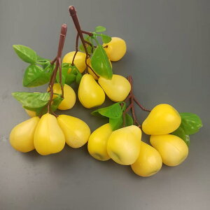 tFCNt[c r t[c p A fBXvC IuWF Be Xܗp I vX`bN