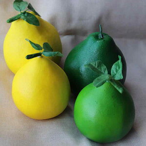 tFCNt[c Mq AX`[ A fBXvC  ct qp mߋ  p Be CeA TCY TCY CG[ O[