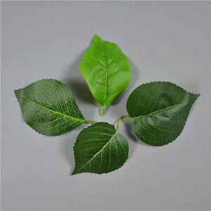  t VNvg 6t o AWTC q} [X Ԋ | DIY nhCh p[c i Be  CeA