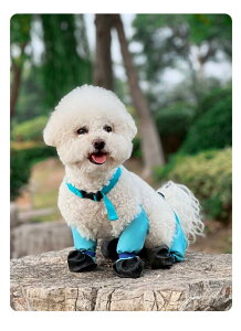  C hbOV[Y ybg Cu[c ɂ ~ h I[V[Y ]|h~ Jo[ Up ubN CG[ u[