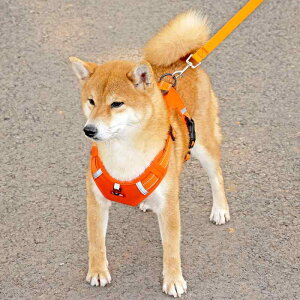  [h n[lX  ^ ^ ybgpi ߉\ h~    IW ubN bh