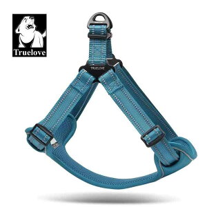  [h n[lX  ^ ^ ^ ybgpi  ݂h~ xXg u[ sN IW