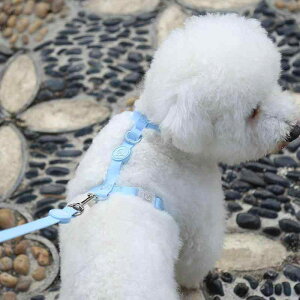  [h n[lX  ^ ybgpi UR h  Oo EH[LO sN u[ p[v