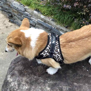  [h n[lX  ^ ^ ybgpi Oo UЂ EH[LO  ubN bh