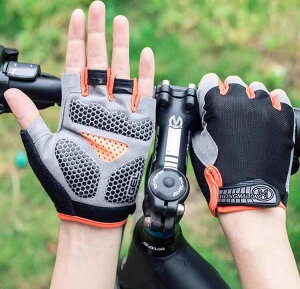 TCNO O[u ]  w؂ Y fB[X }EeoCN [hoCN X|[c AEghA g[jO tBbglX ~ Ռz ʋC  y  t