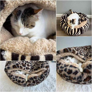 Lpxbh XtBNXL ~p g ۉ h ͂܂^ h[^ nEX Q S VF^ 荞ݎ ӂӂ B