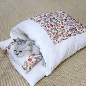 LpQ ybgpxbh  􂦂 a h[^ LnEX pxbh  ۉ I[V[YΉ K