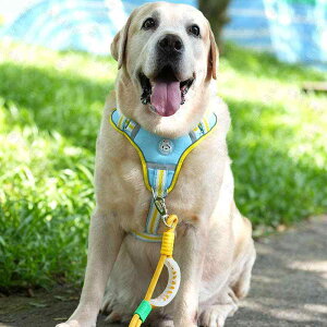  [h n[lX  ^ ^ ^ ybgpi Up K  @\ P O[ p[v CG[