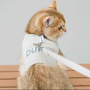  L [h n[lX  ^ ^ ybgpi [v EȂ U xXg  J[L O[ p[v