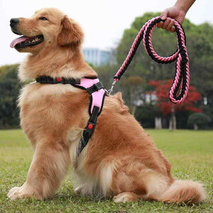  [h n[lX  ^ ^ ybgpi [v U EH[LO bh ubN sN