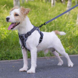  [h n[lX  ^ ybgpi [v Lk  xXg U O[ u[ uE