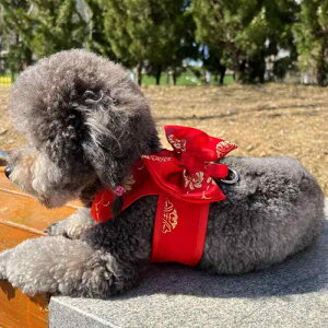  L [h n[lX  ^ ybgpi  U EH[LO j  hX bh