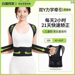   ^ lp w    q w j p {fBp Ȃ  ނ   p  xg