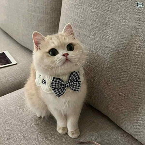 L   [X L { XJ[t Vl   ybg  L 悾    悾  XJ[t ANZT[