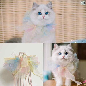 L   [X [ L   ] ybg L 킢 [X 悾  Oh[ L 悾  ybg   