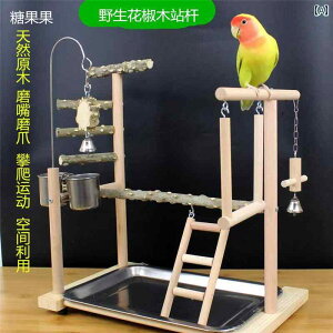 IJCRA VNNA IEA ދ̂ A  A RRibc kA  A  X^hA ybp[ EbhX^hA |[ uRA Vя