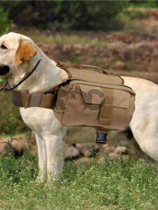  [h n[lX  ybgpi ^ ^ g[jO AEghA w  bNTbN Oo g CG[