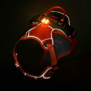  [h n[lX  ^ ^ ybgpi [v ʋC  xXg u[ O[ O[