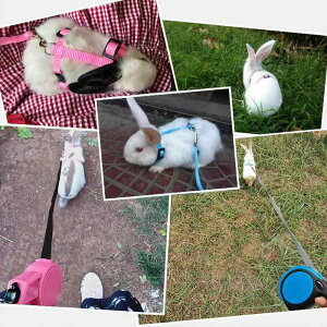 ETM [h n[lX  ybgpi [v ^ oh~ ߉\ Up sN u[ bh