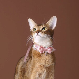 L   [X V[g 2{ O 1{y coco 02ւ I}[Wz ybg ANZT[ sN NX ^  lN^C L   