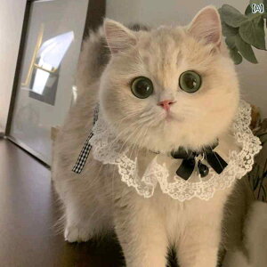 L   [X L ցA ybg A  悾 A [X XJ[tA 킢  lN^C 悾 A ʐ^ 