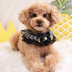 L   [X ybg ցA L 悾 A L ցA d [X ANZT[A 悾 A ʐ^ ANZT[A q L 悾 