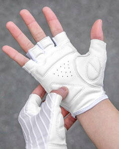 TCNO O[u ]  w؂ rv n[ttBK[ ~ Ռz [hoCN }EeoCN ʋC  zCg