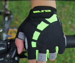 TCNO O[u ]  w؂ Y fB[X n[ttBK[ vdl Uz ~ }EeoCN VR t bh O[ O[