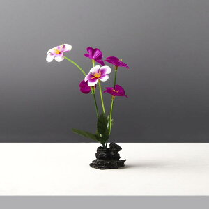 v[g Xg ze Ɩp tp  o  tFCNO[ A hg  n엿  A[g ~j`A Hʂ