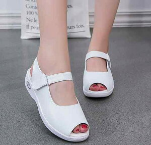 i[XV[Y T_ t  zCg I[vgD ܐI[v ×p   e NjbN a@ ItBX  ʋC K RtH[g ɂ GANbV\[