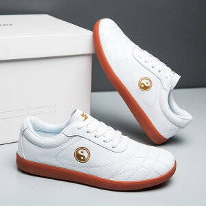 太極拳シューズ 男女兼用 武術靴 太極拳練習用 プロ仕様 ローカット レースアップ ゴム底 滑り止め 耐摩耗 通気性 吸汗性 メッシュ素材 白 黒 オールシーズン