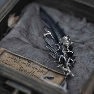 u[` jp Y fB[X ubN tFU[ Co KN `[t j[NfUC  GKg iȕ͋C  t@bV su[` _[NX^C