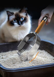 L gC XRbv Vx   ׂ q |pi ybgObY XeXf Vo[