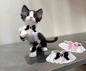 L   [X 悾ꂩ lbNX ݊ ANZT[ t@bV sN ubN u[