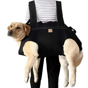 Ђ  ybgL[ ^ obNpbN @\ AEghA s S bN ubN