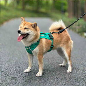 Ђ  ybgL[ [v n[lX ^ ^ U ߉\ CG[ bh O[