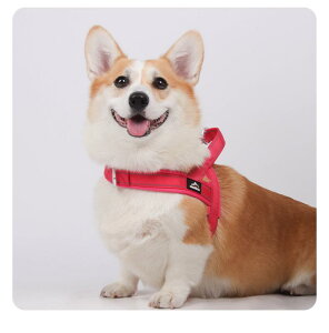 Ђ  ^ ^ ybgL[ [v n[lX xXg ybgpi [h U uE CG[ bh