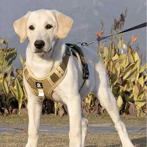 Ђ  ^ ybgL[ [h n[lX [v U EH[LO p[v u[ J[L