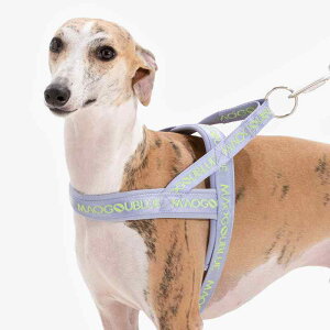  [h n[lX  ^ ^ ^ ybgpi  U EH[LO p[v sN J[L