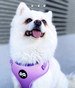  [h n[lX  ^ ^ ybgpi   UЂ ߉\ EH[LO p[v u[