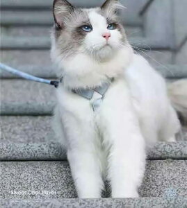 L [h n[lX   ybgpi [v Up ߉\ ɂ EH[LO