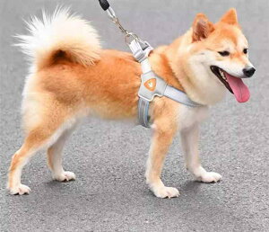  [h n[lX  ^ ^ ybgpi [v UЂ bh ubN CG[