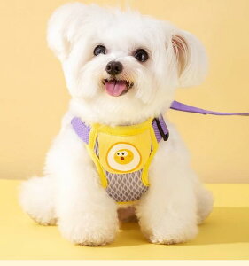  L [h n[lX  ^ ybgpi ʋC [v xXg UR O[ p[v CG|