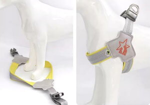  [h n[lX  ^ ^ ybgpi   xXg UЂ EH[LO CG[