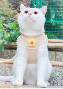  L [h n[lX  ^ ybgpi  UЂ xXg \ x[W sN