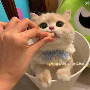 L   [X 悾ꂩ ݏ rߖh~ ʐ^Be i  ANZT[ u[ CG[ O[