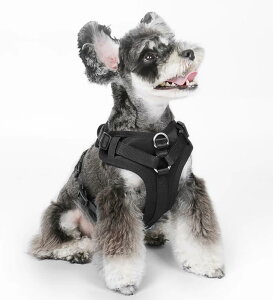  [h n[lX  ^  [v ɂ xXg n[lX ߉\ U ubN