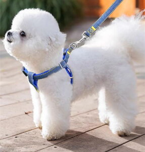  [h n[lX  ^ ^ ^ [v ybgpi  n[lX U bh u[ ubN