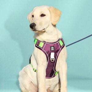  [h n[lX  ^ ^ [v n[lX U [h ybgpi  J[L p[v u[